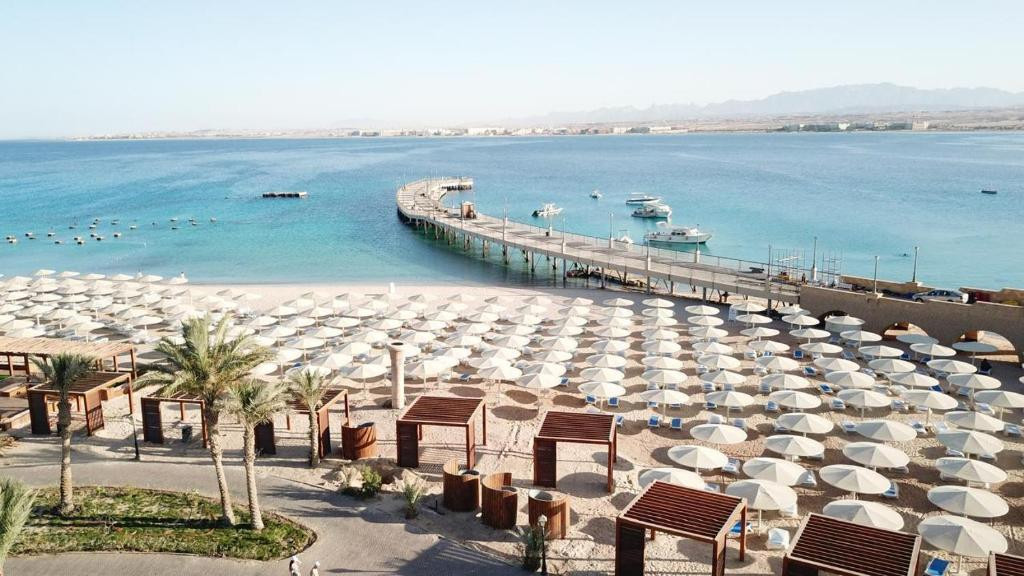 SRNTY SAHL HASHEESH (EX. SERENITY SKY ARC SAHL HASHEESH) — фото 10