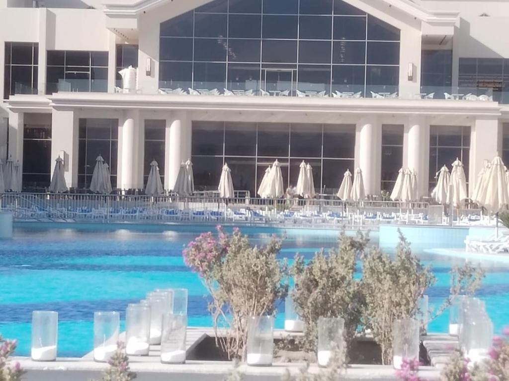 SRNTY SAHL HASHEESH (EX. SERENITY SKY ARC SAHL HASHEESH) — фото 11