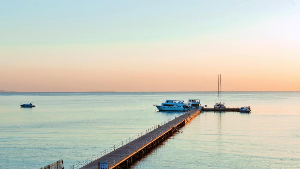 SUNRISE ALMA BAY RESORT (EX. GRAND SEAS BY SUNRISE) — фото 17