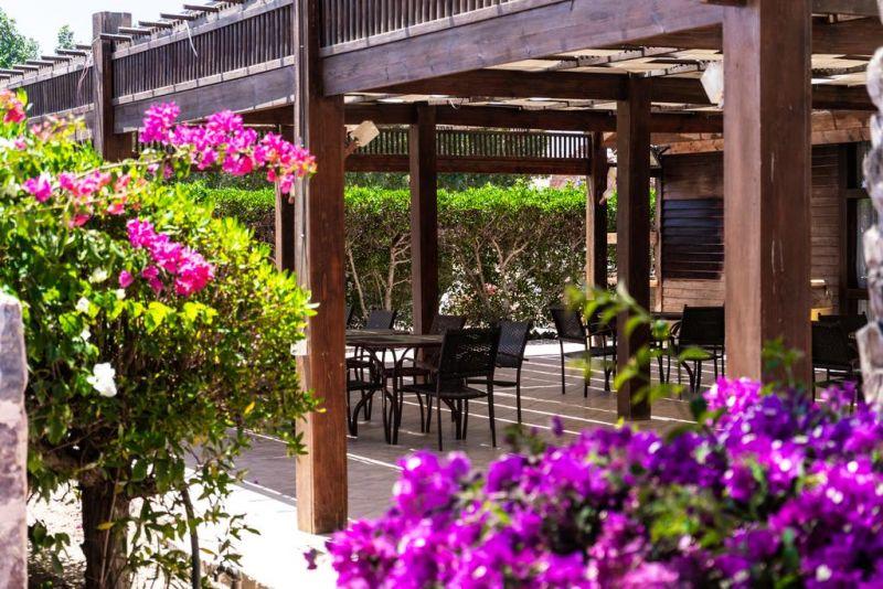 ABU DABBAB DIVING LODGE — фото 13