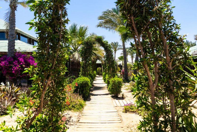 ABU DABBAB DIVING LODGE — фото 17