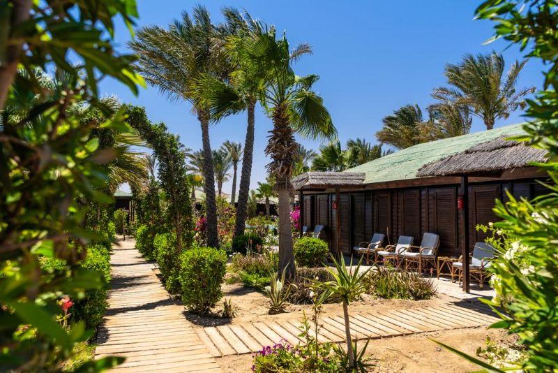 ABU DABBAB DIVING LODGE — фото 18