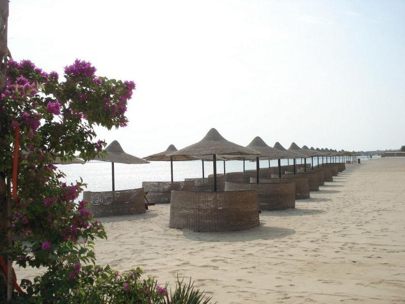 CUPIDON RESORT MARSA ALAM — фото 15
