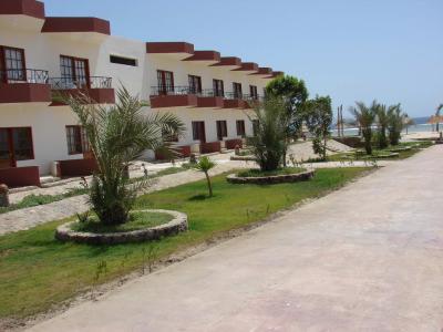 DIMA BEACH RESORT — фото 2