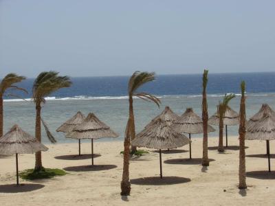 DIMA BEACH RESORT — фото 3