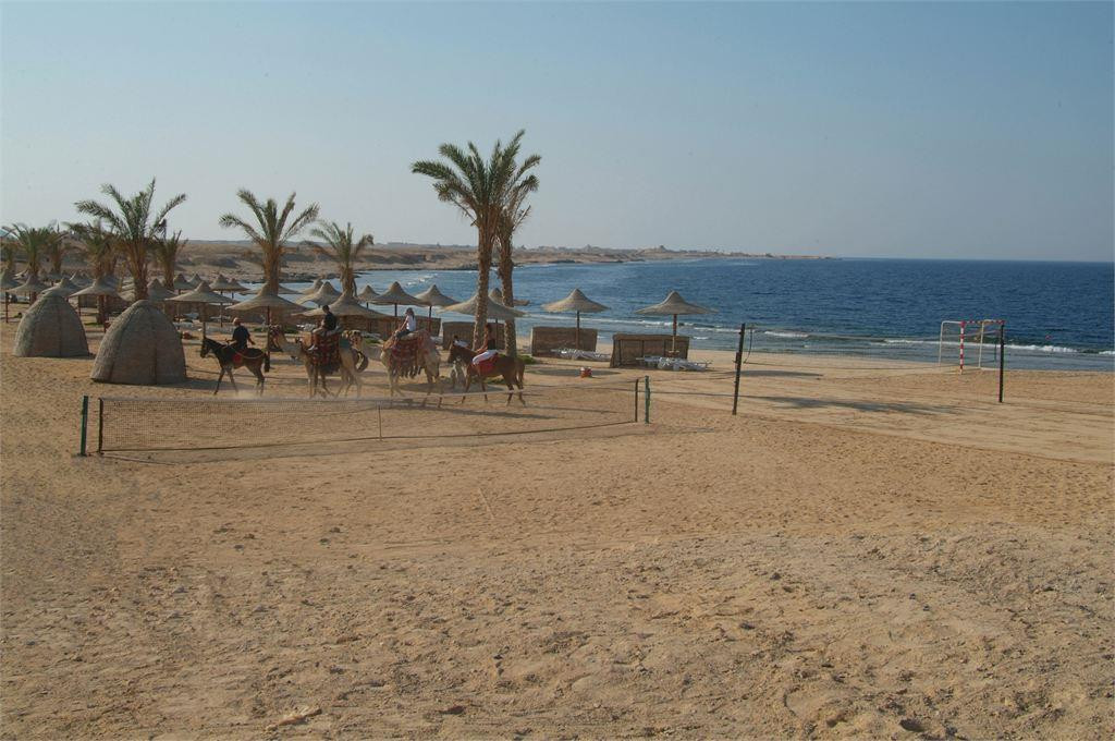 DREAMS BEACH RESORT MARSA ALAM — фото 12