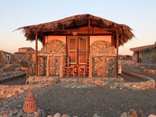 ECOLODGE BEDOUIN VALLEY — фото 5