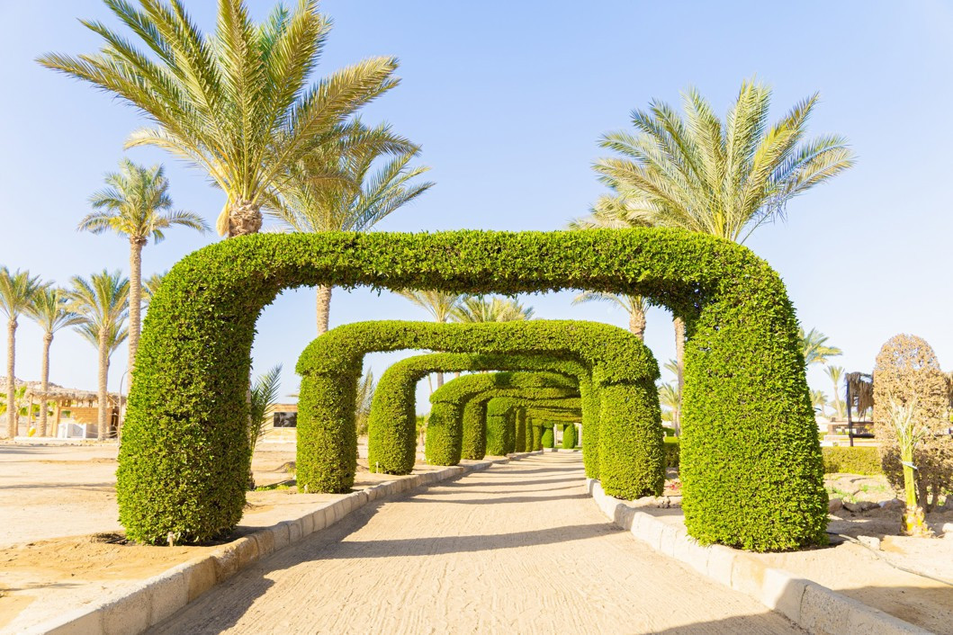 GEMMA RESORT (EX. LABRANDA GEMMA PREMIUM) — фото 9