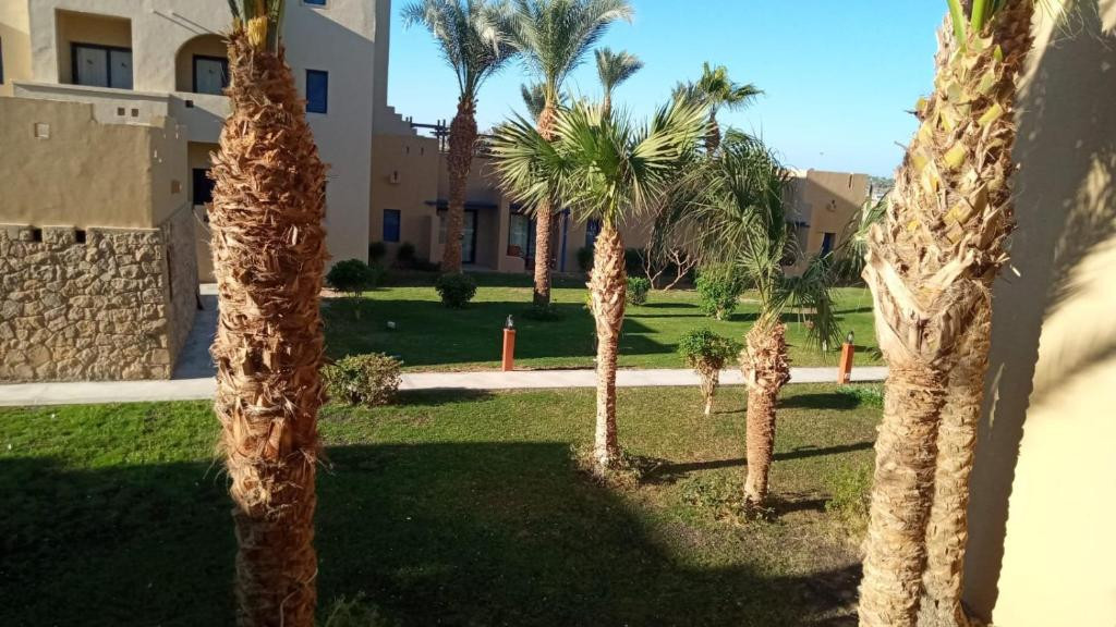 MARINA LODGE AT PORT GHALIB — фото 10