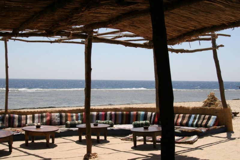 THE OASIS DIVE RESORT — фото 11