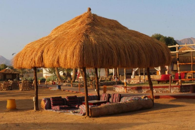FIORD CLUB RESORT & SPA (EX. NUWEIBA CLUB RESORT) — фото 10
