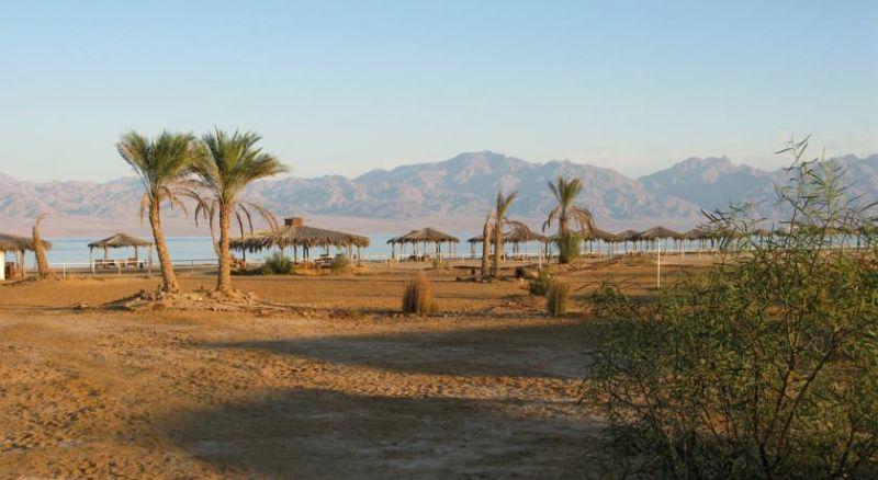 SWISSCARE NUWEIBA RESORT — фото 16
