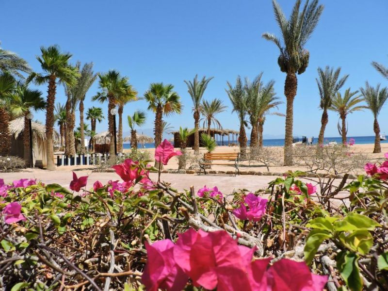 TIME CORAL NUWEIBA RESORT (EX. HILTON NUWEIBA CORAL RESORT) — фото 17