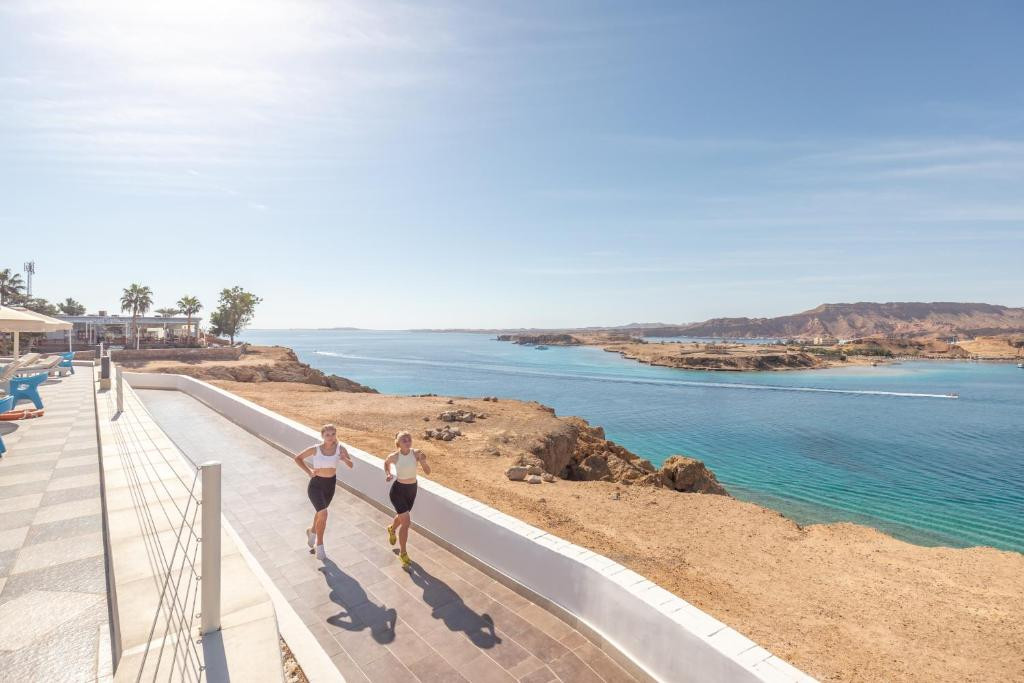 ALBATROS SHARM (EX. BEACH ALBATROS SHARM) — фото 13