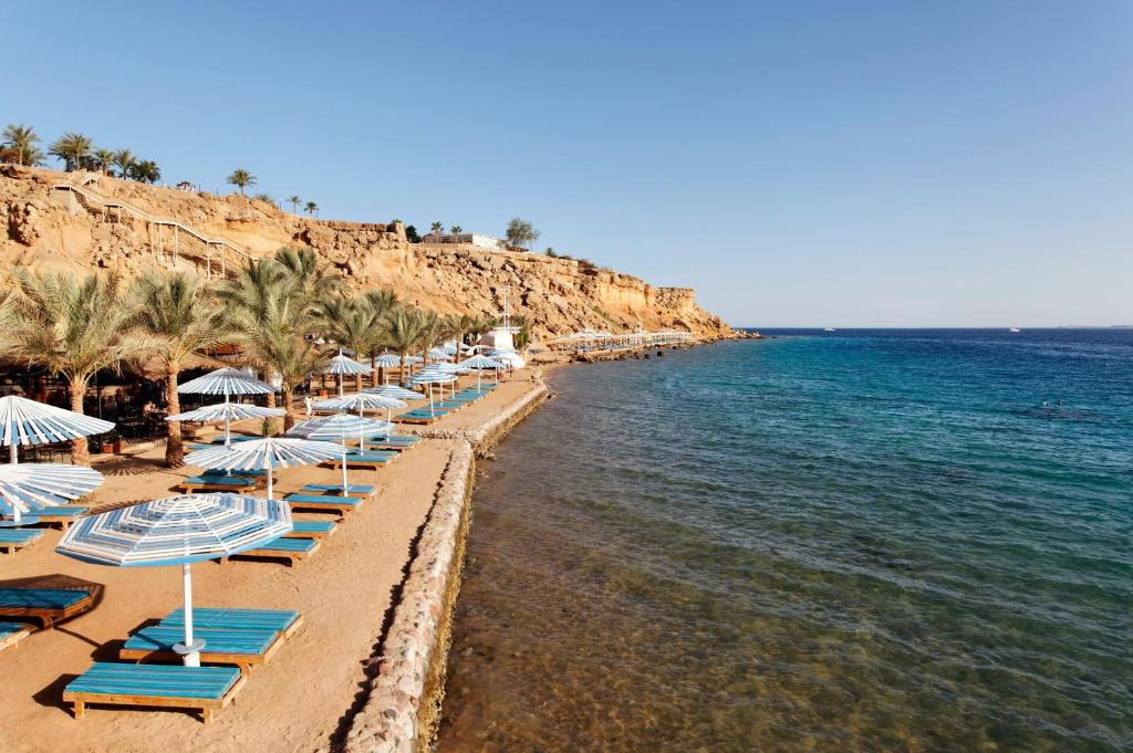 ALBATROS SHARM (EX. BEACH ALBATROS SHARM) — фото 18