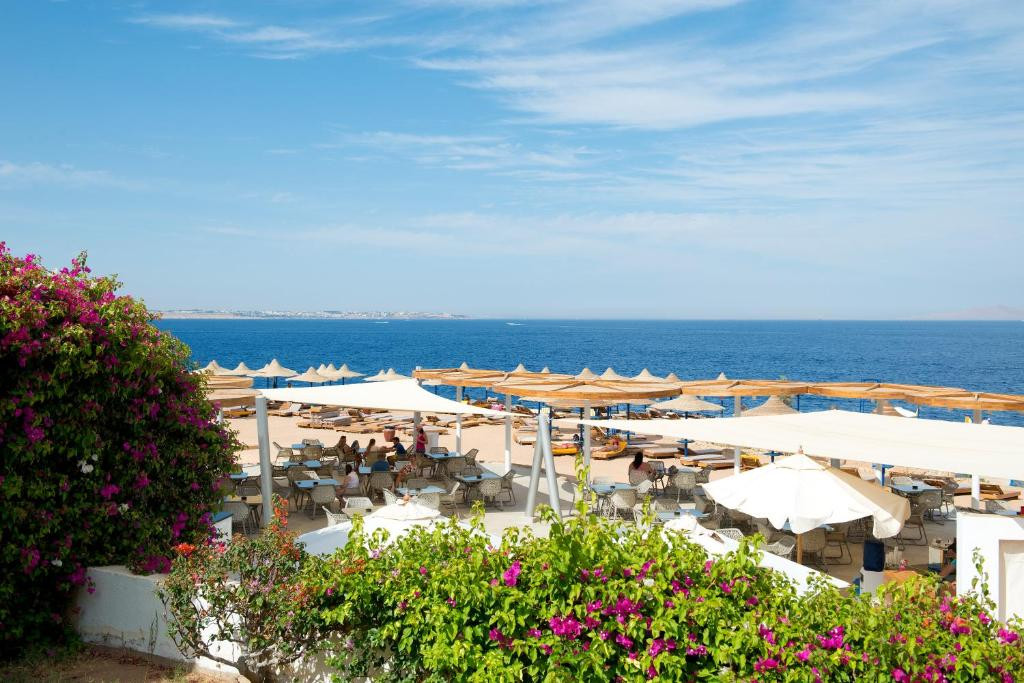 AMPHORAS BLU RESORT (EX. OTIUM PARK AMPHORAS BLU RESORT) — фото 16