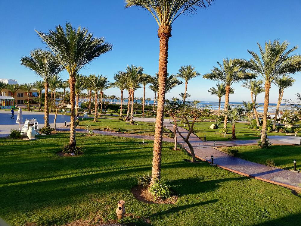 AMWAJ OYOUN RESORT & CASINO (EX. AA AMWAJ HOTEL & RESORT) — фото 14