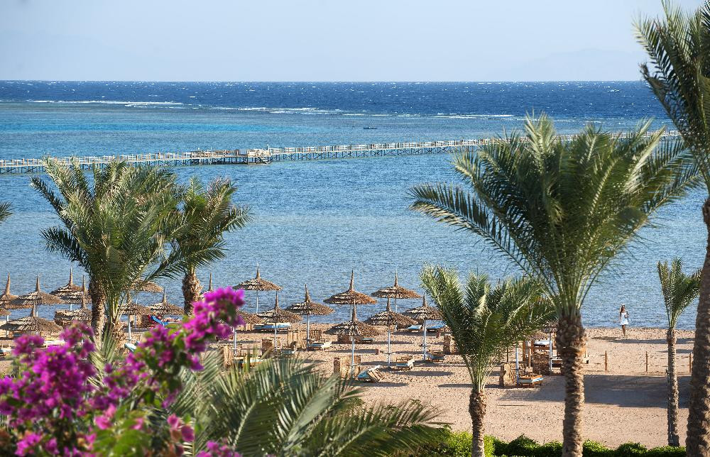 AMWAJ OYOUN RESORT & CASINO (EX. AA AMWAJ HOTEL & RESORT) — фото 15