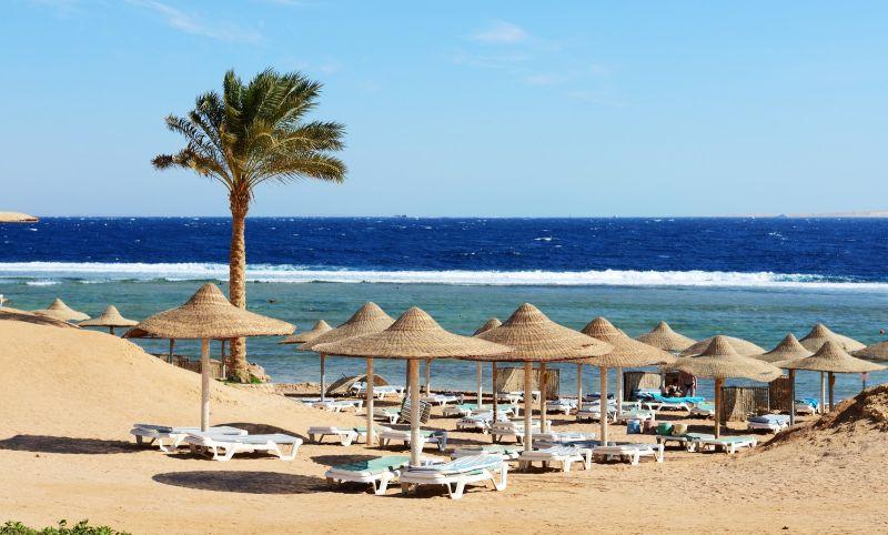 BLUE REEF NAAMA BAY — фото 9