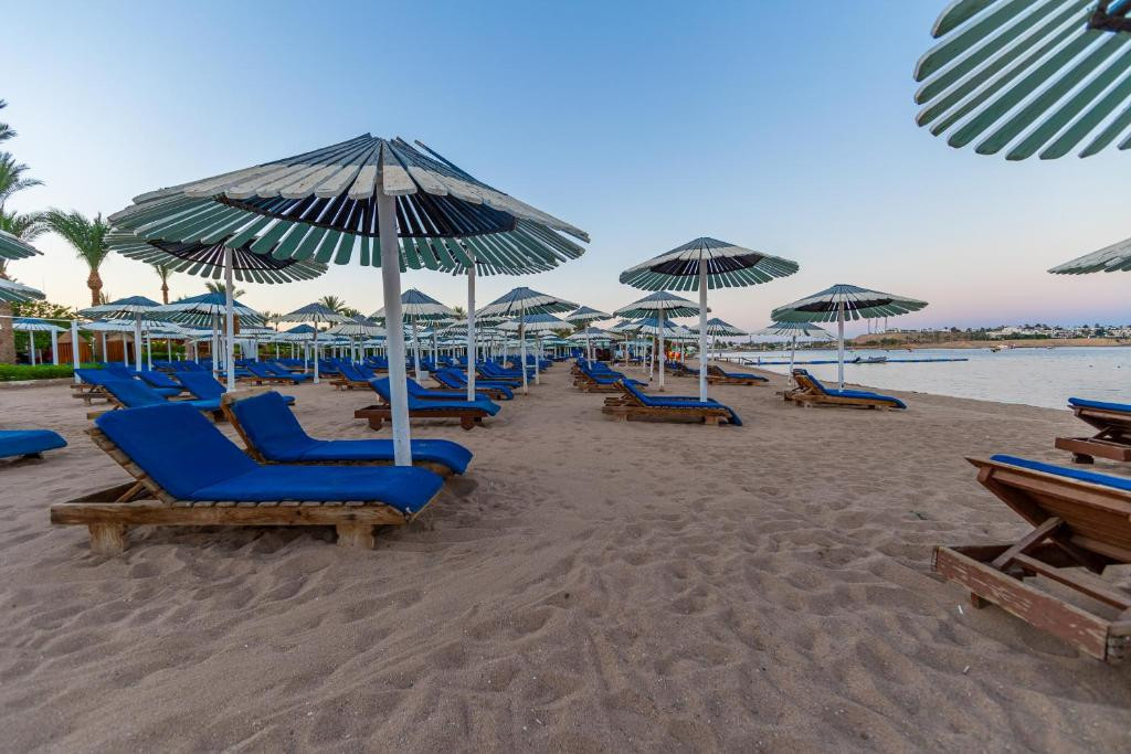GHAZALA BEACH — фото 15
