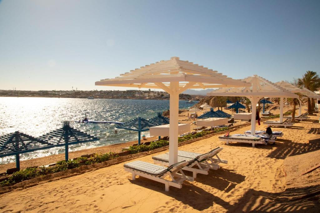 GRAND OASIS RESORT — фото 14