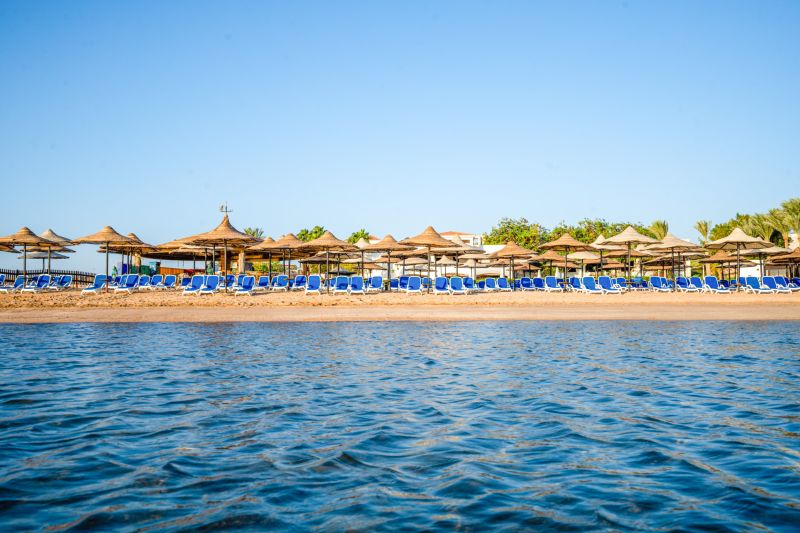 IVY CYRENE SHARM ADULTS ONLY 13+ (EX. AURORA SHARM RESORT, CRYSTAL SHARM, SOL SHARM) — фото 10