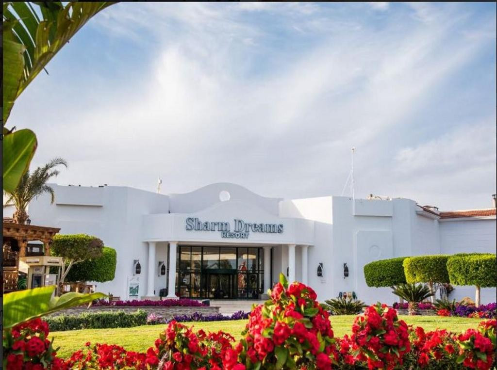 JAZ SHARM DREAMS RESORT — фото 10