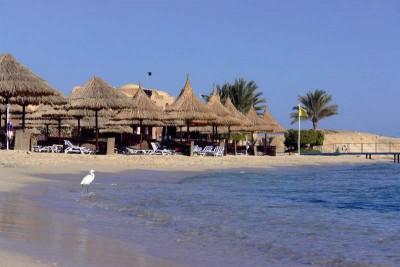 MOVENPICK RESORT & SPA NABQ — фото 6