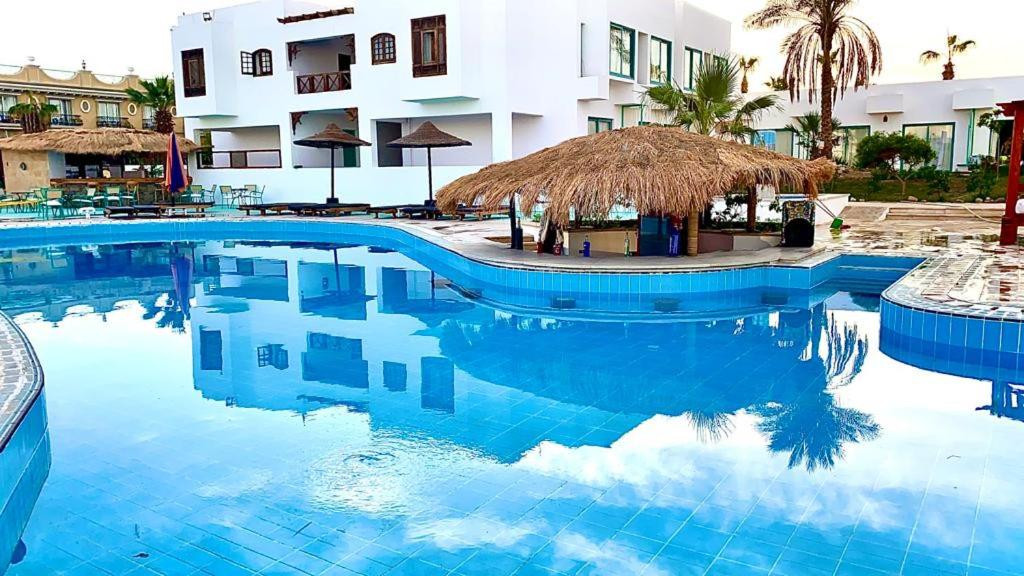 NEW BADAWIA SHARM RESORT — фото 11