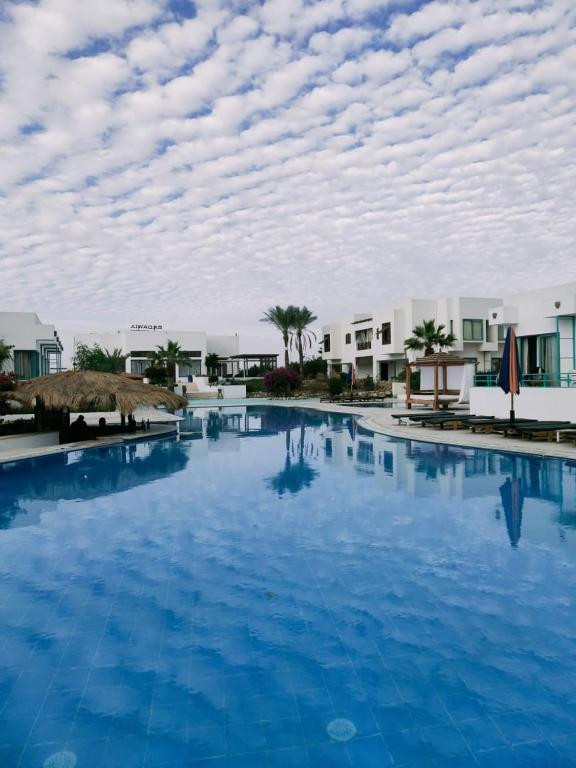 NEW BADAWIA SHARM RESORT — фото 15