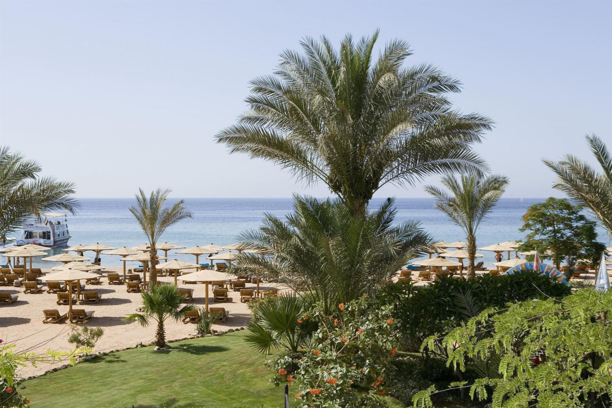NOVOTEL SHARM EL SHEIKH (EX. NOVOTEL BEACH) — фото 8
