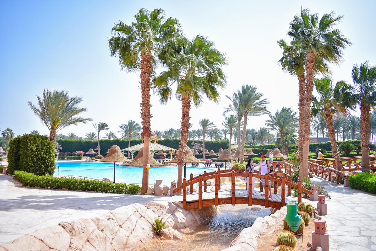 PARROTEL AQUA PARK RESORT (EX. PARK INN BY RADISSON) — фото 4