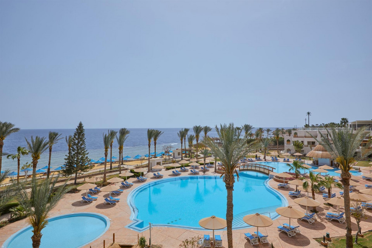 PICKALBATROS ROYAL GRAND RESORT ADULTS ONLY 16+ — фото 4