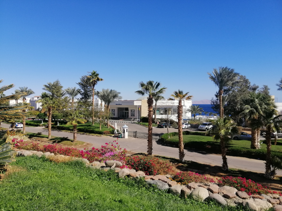 QUEEN SHARM RESORT VIEW — фото 3