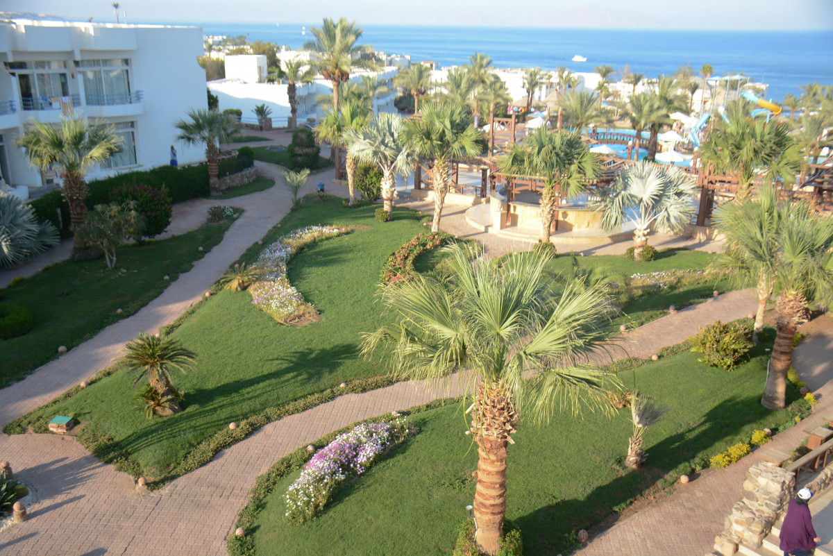 QUEEN SHARM RESORT VIEW — фото 4