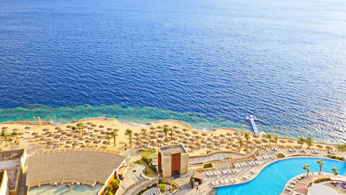 REEF OASIS BLUE BAY — фото 7