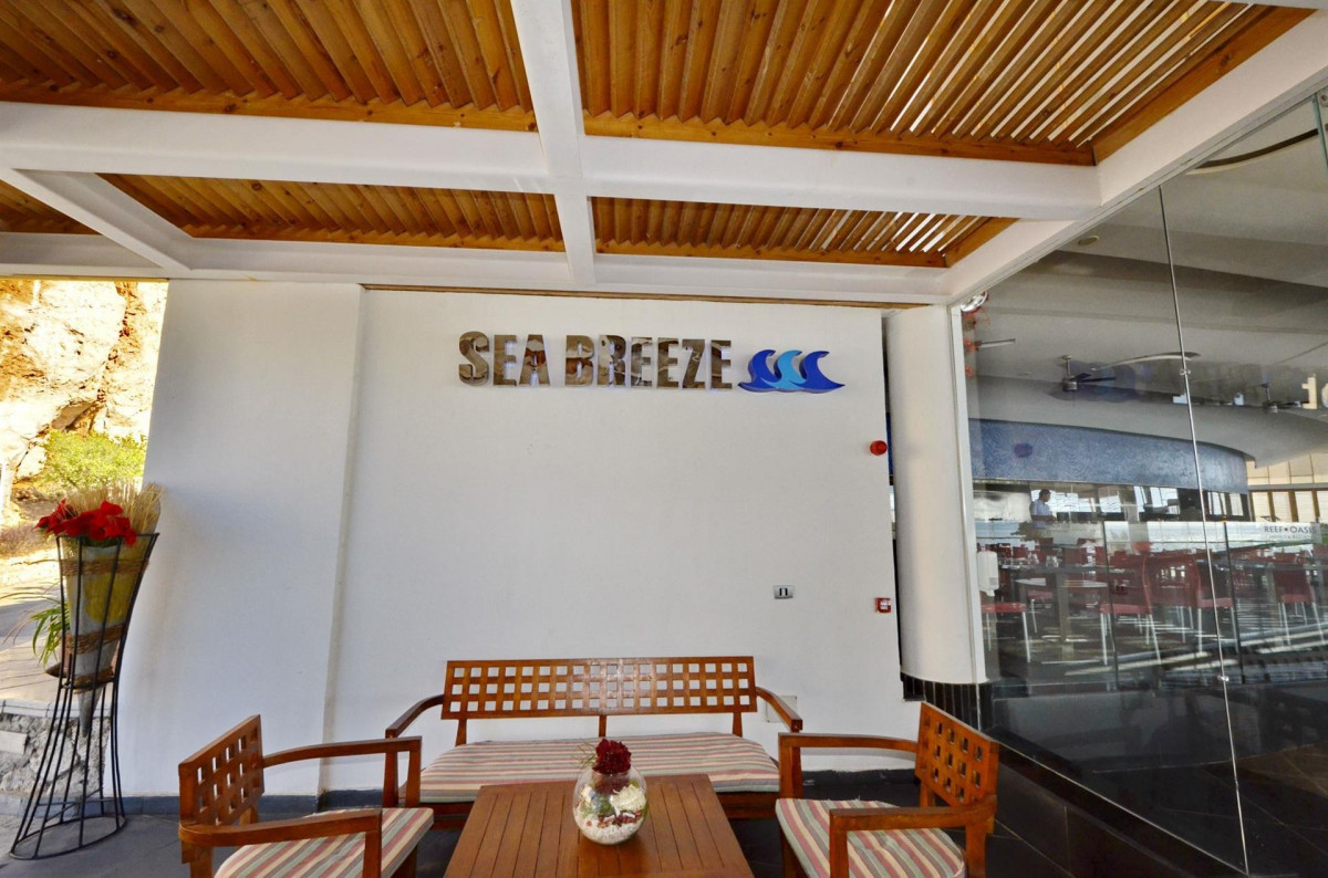 REEF OASIS BLUE BAY — фото 13