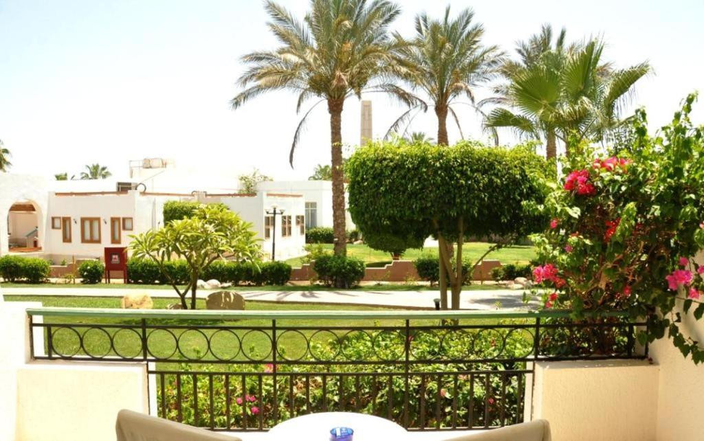 SAFIR SHARM WATERFALLS (EX. HILTON)  — фото 16