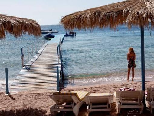 SHARKS BAY UMBI DIVING VILLAGE — фото 4