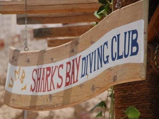 SHARKS BAY UMBI DIVING VILLAGE — фото 7