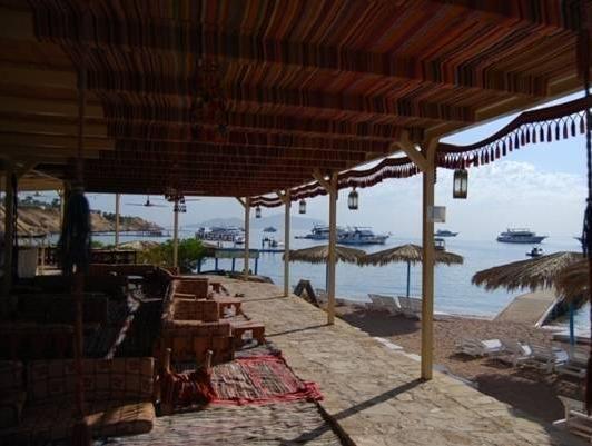 SHARKS BAY UMBI DIVING VILLAGE — фото 9
