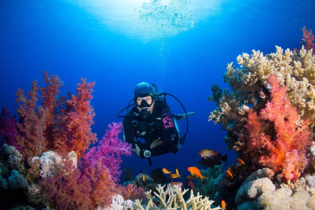 SHARKS BAY UMBI DIVING VILLAGE — фото 12