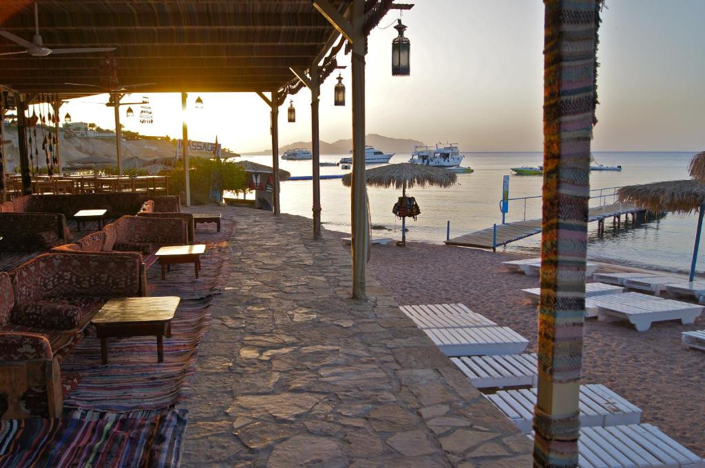 SHARKS BAY UMBI DIVING VILLAGE — фото 17