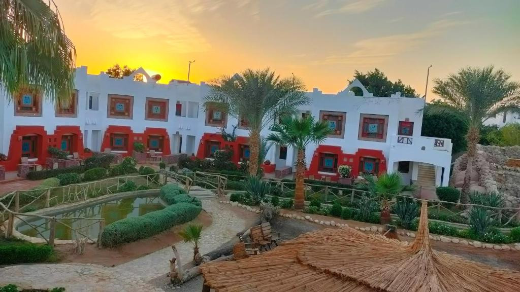 SHARM INN AMAREIN — фото 6