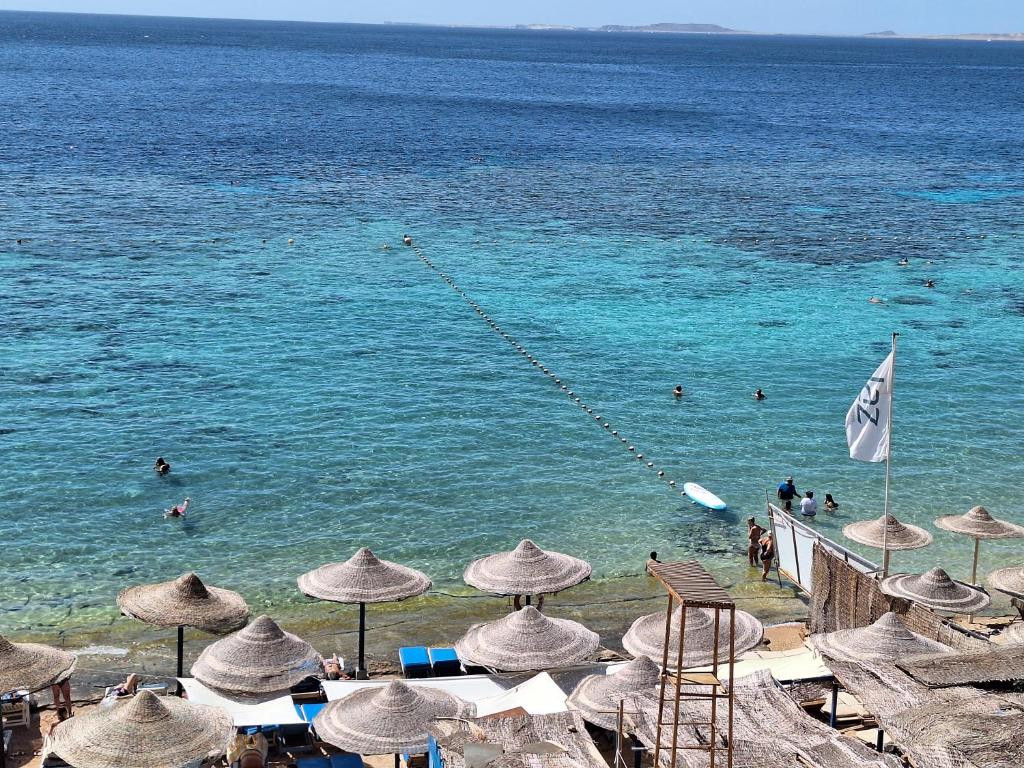 SHARM INN AMAREIN — фото 7