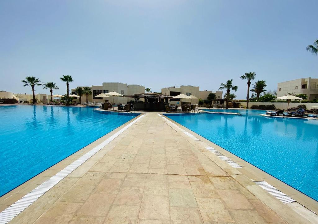 SHARM REEF — фото 14