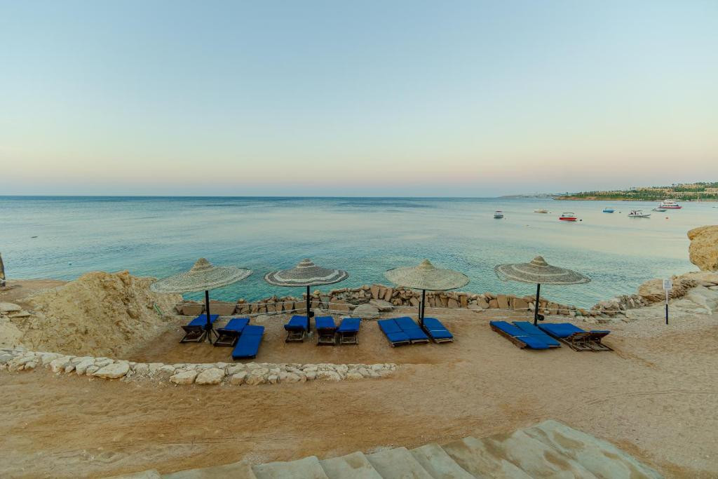 SIVA SHARM RESORT & SPA (EX. SAVITA RESORT) — фото 18