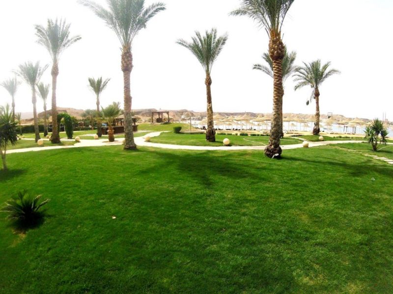 XPERIENCE GOLDEN SANDY BEACH — фото 10