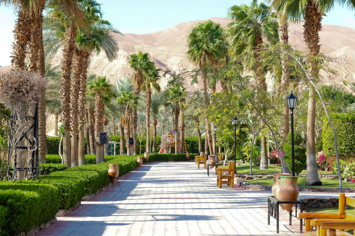 TABA HOTEL & NELSON VILLAGE (EX. HILTON) — фото 10
