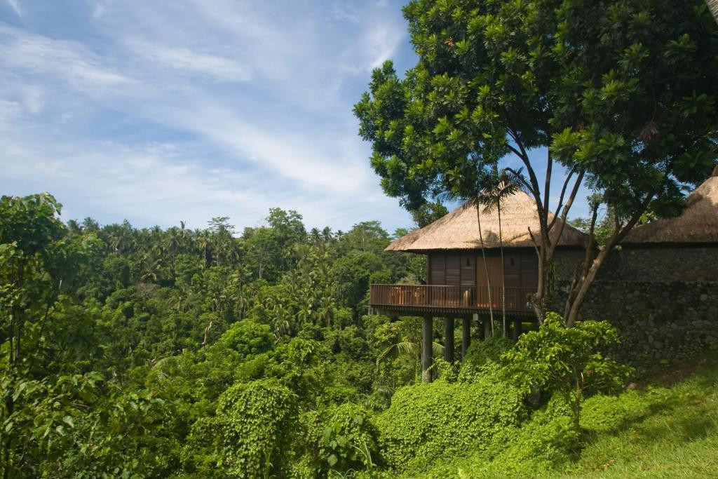 ALILA UBUD RESORT — фото 2